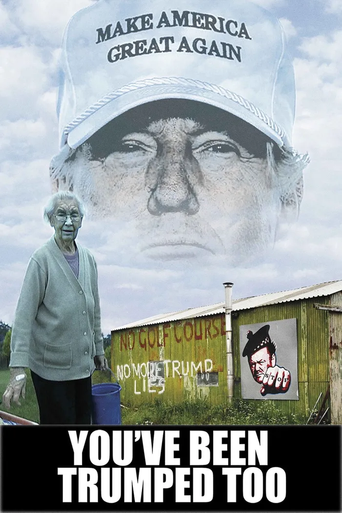 You've Been Trumped Too (2016) poster