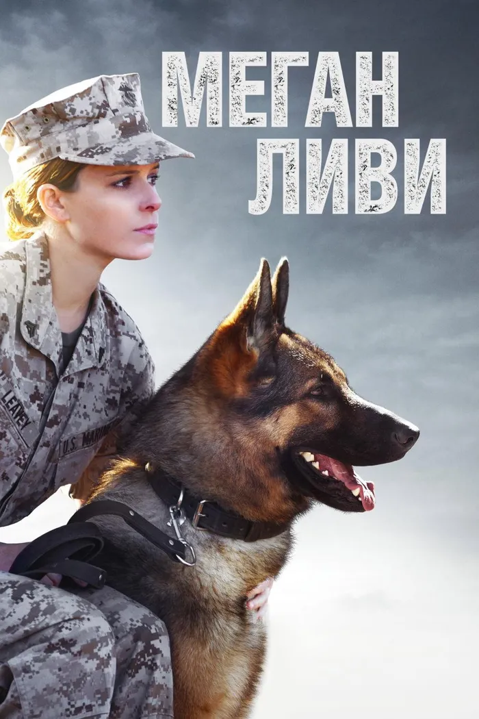 Меган Ливи (2017) poster