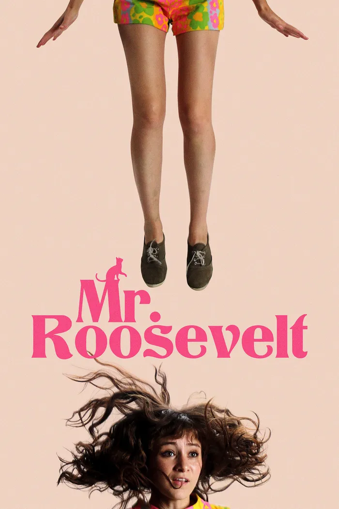 Мистер Рузвельт (2017) poster