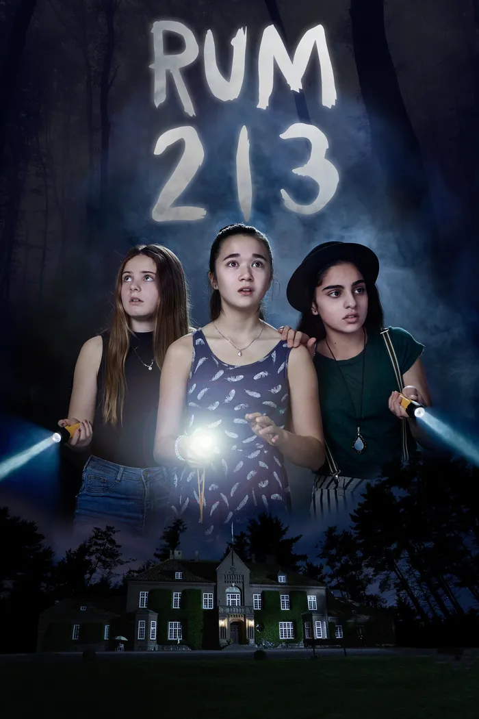 Комната 213 (2017) poster