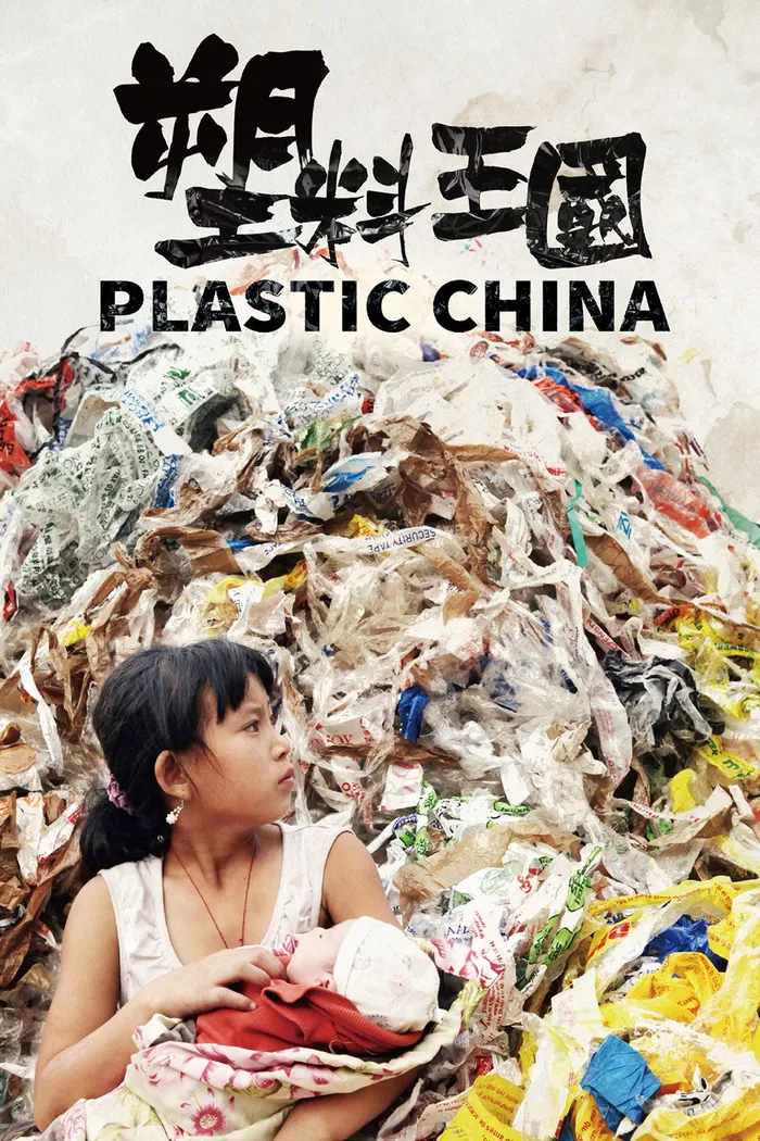 塑料王国 (2016) poster