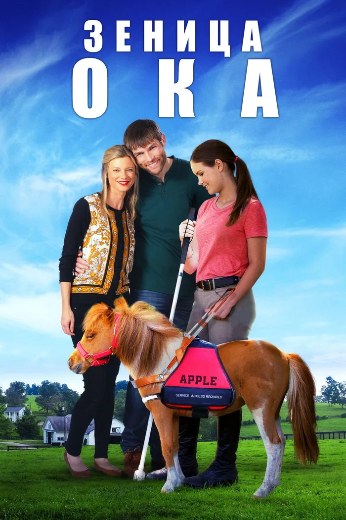 Зеница Ока (2017) poster