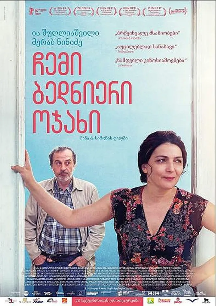 Моя счастливая семья (2017) poster