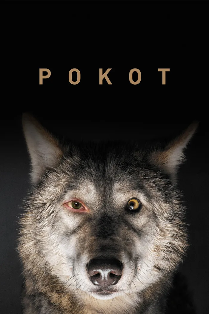 След зверя (2017) poster