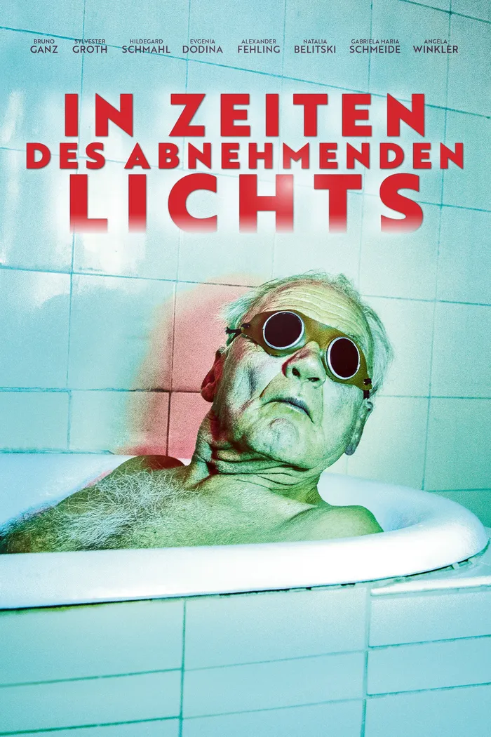 In Zeiten des abnehmenden Lichts (2017) poster