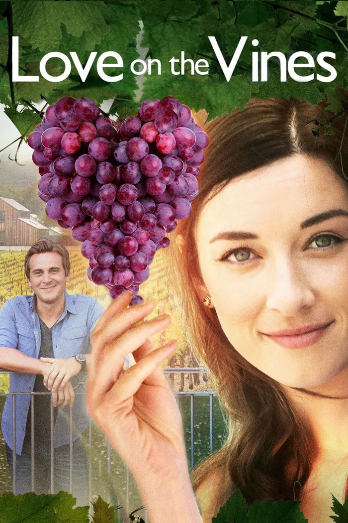 Любовь на винограднике (2017) poster
