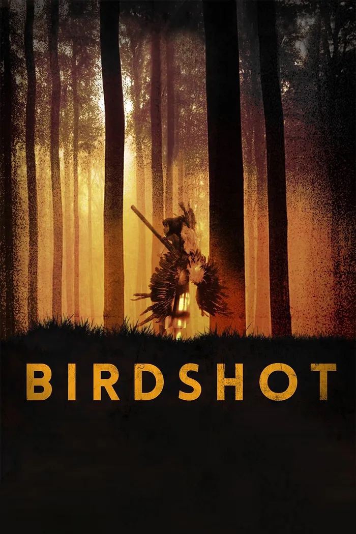 Дробь (2016) poster