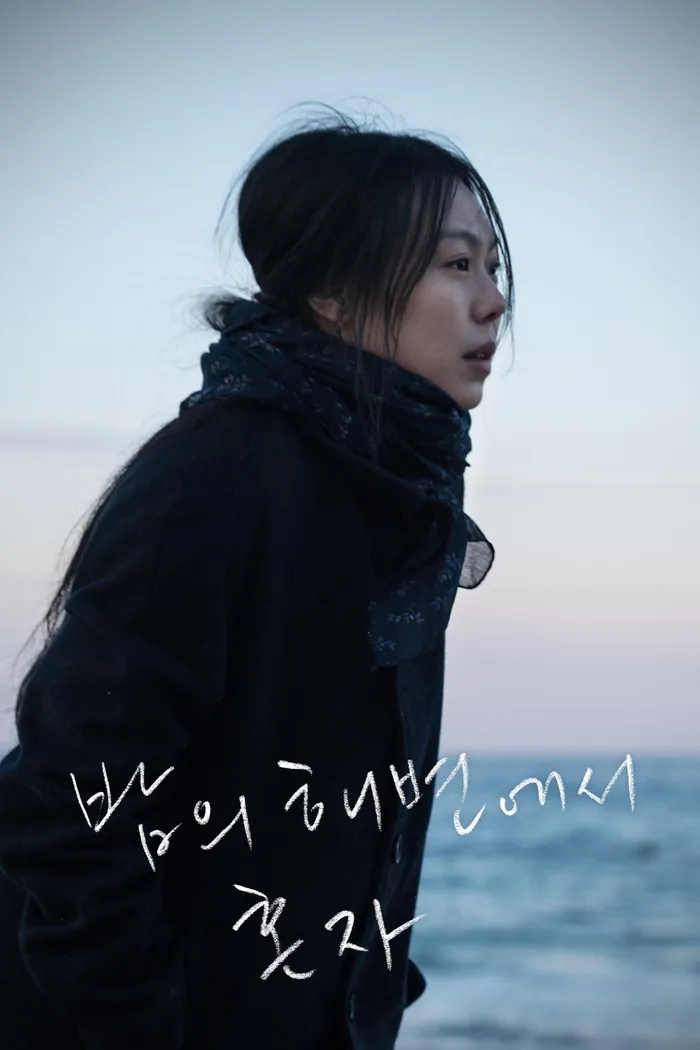 Ночью у моря одна (2017) poster
