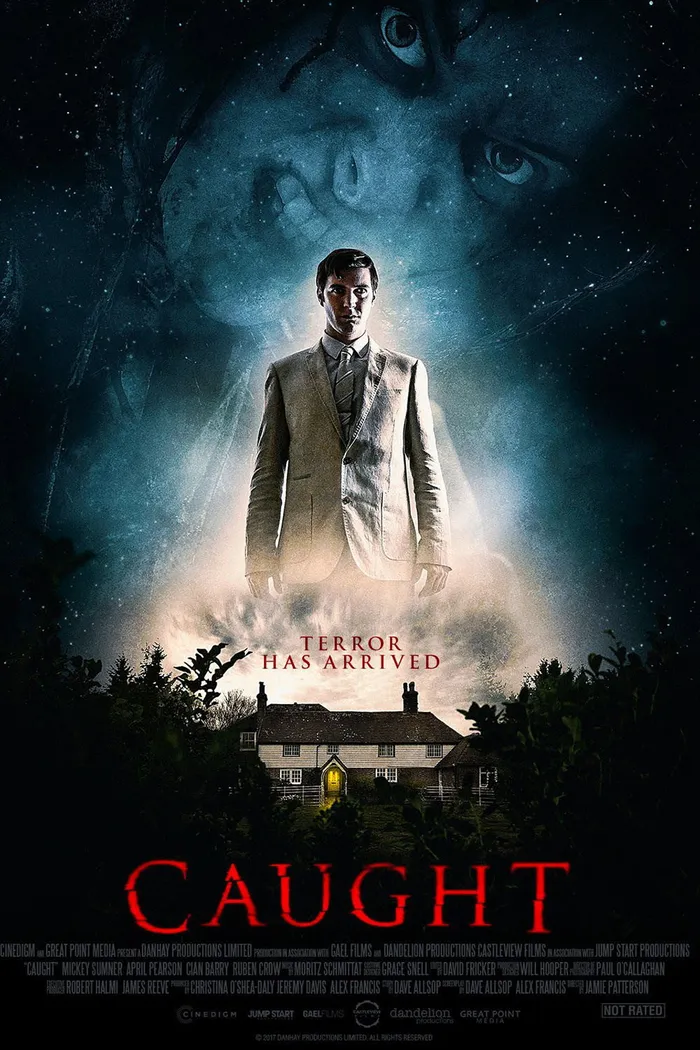Пойманный (2017) poster