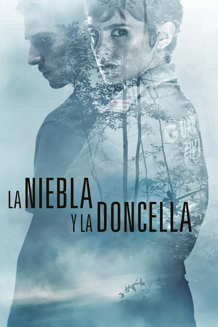 Туман и дева (2017) poster