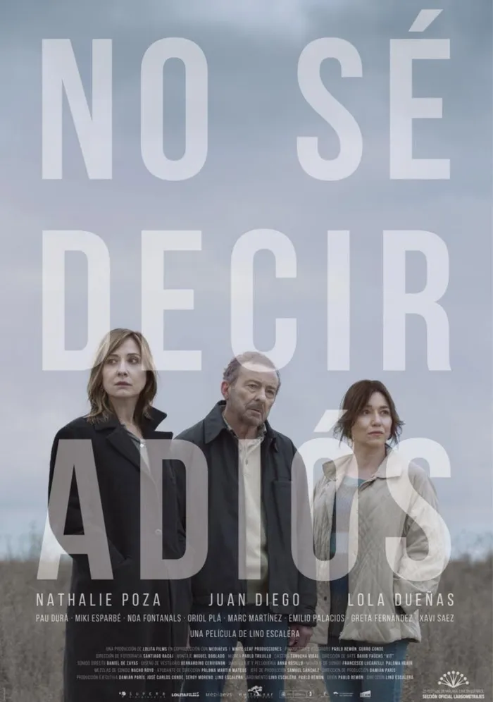 No sé decir adiós (2017) poster