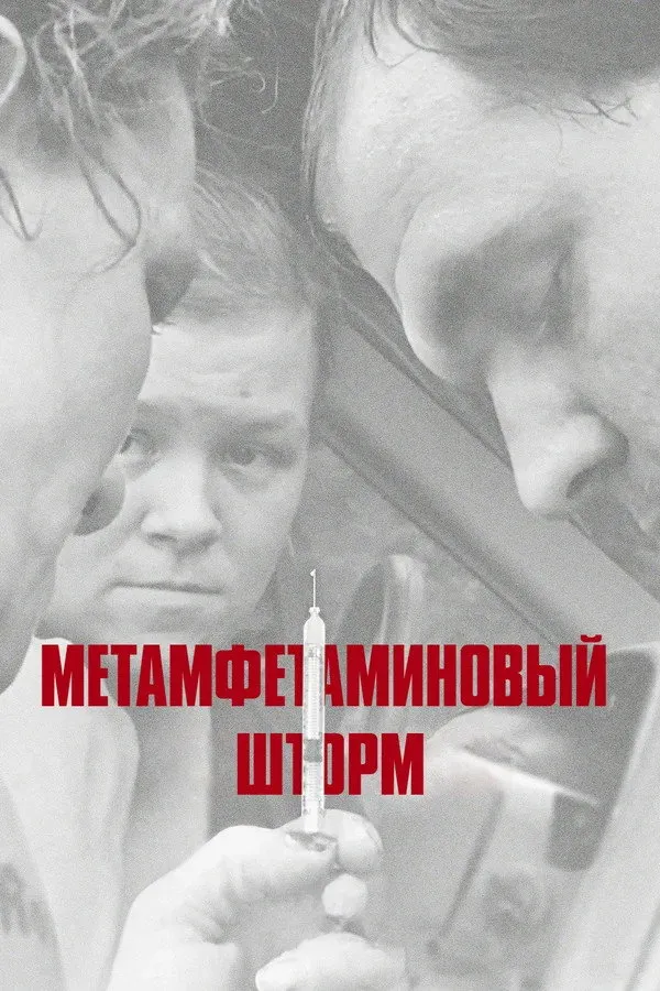 Метамфетаминовый шторм (2017) poster