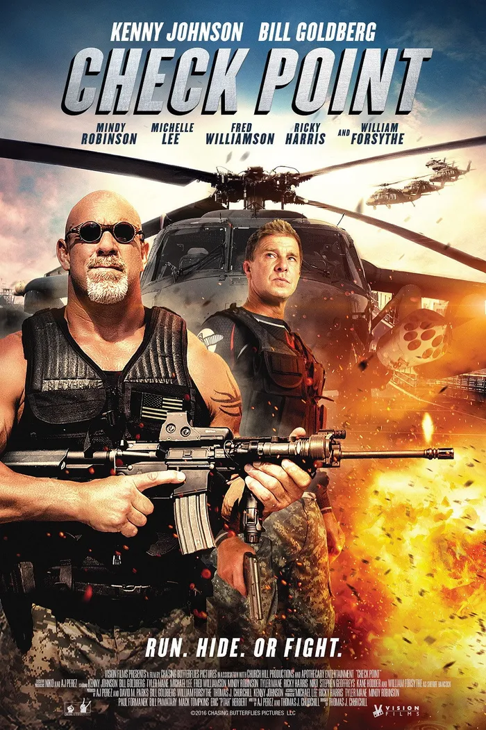 Контрольная точка (2017)