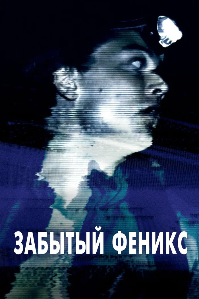 Забытый Феникс (2017) poster