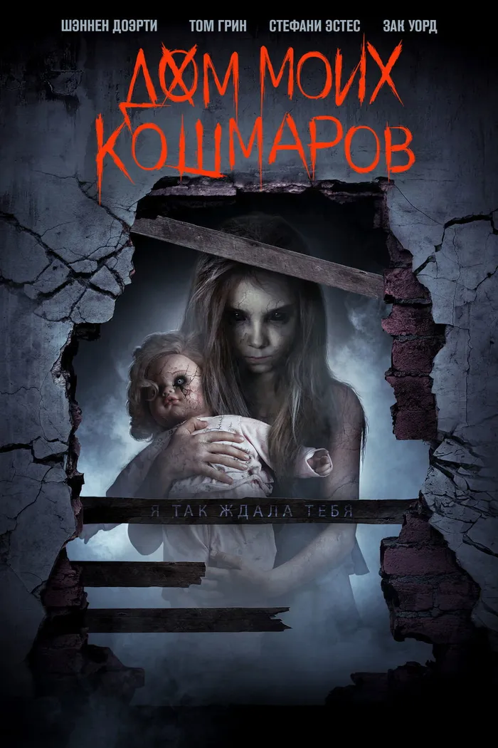 Дом моих кошмаров (2017) poster