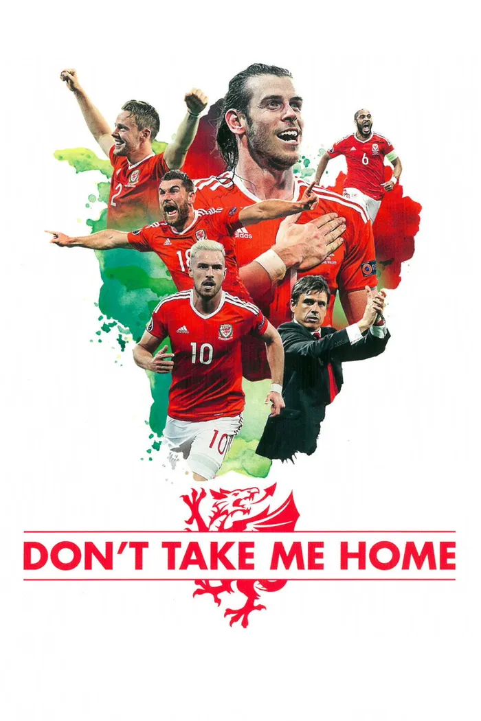 Don't Take Me Home (2017) poster