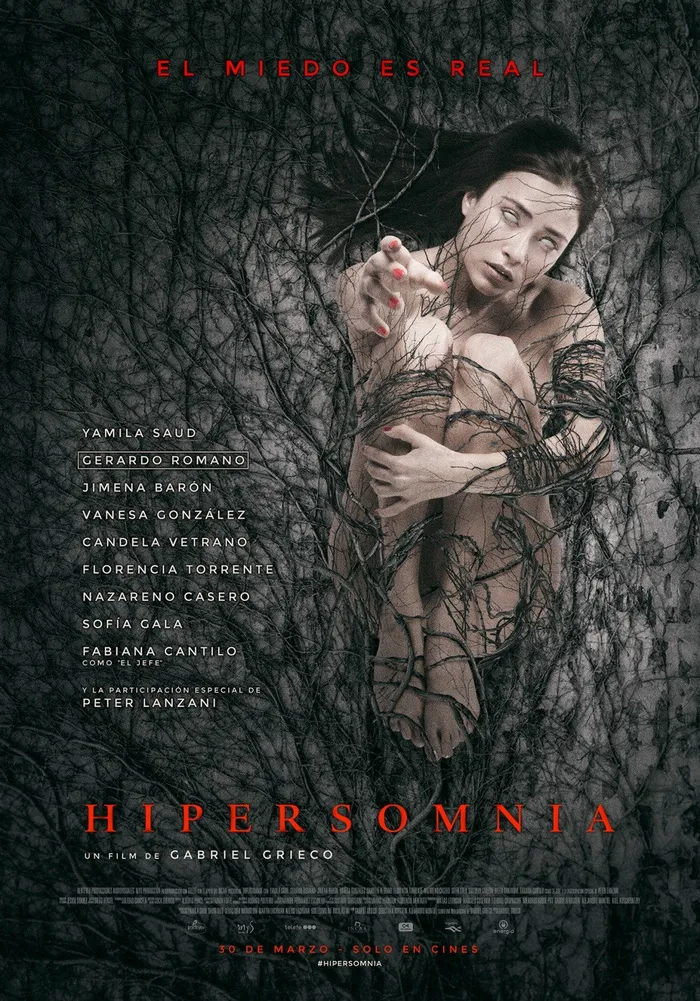 Гиперсомния (2016) poster