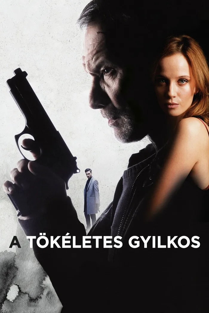 A tökéletes gyilkos (2017) poster
