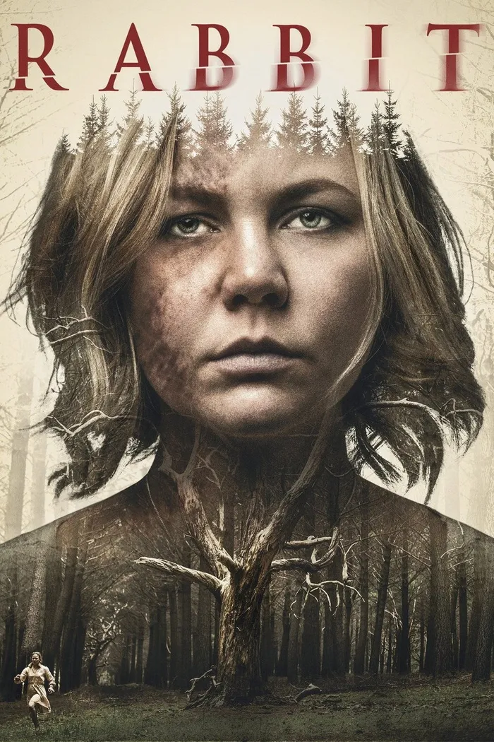 Кролик (2017) poster