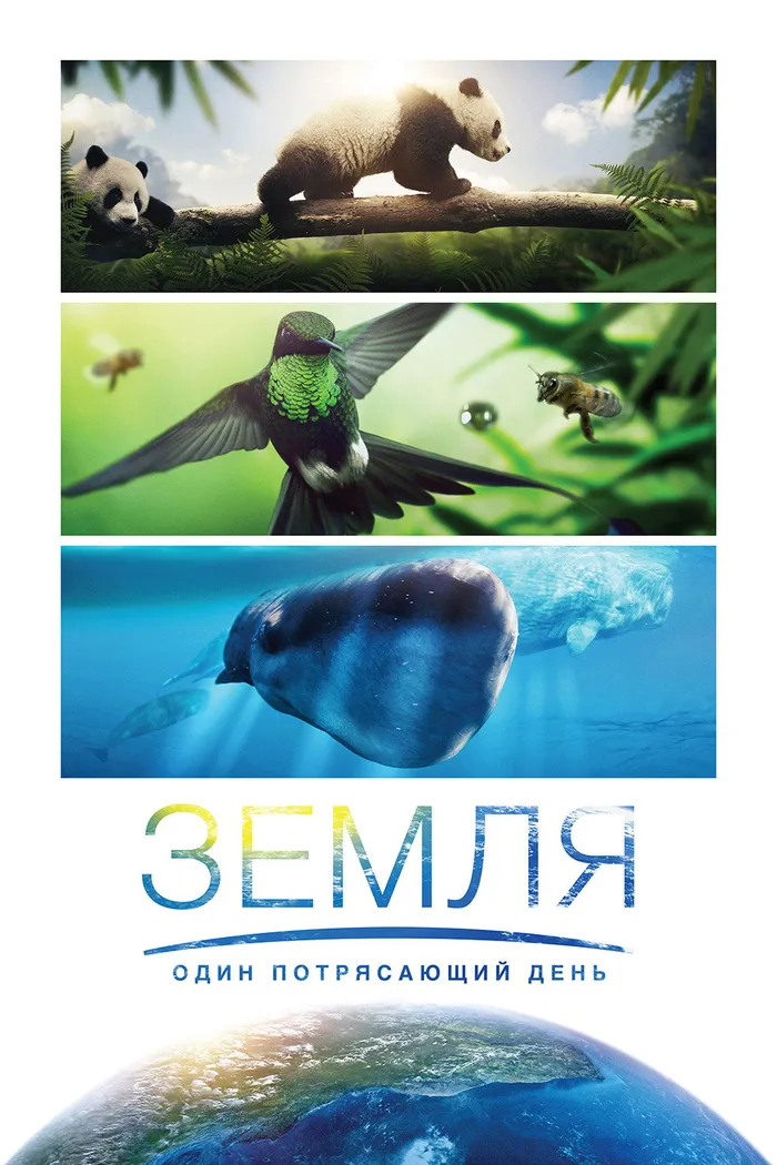 Земля: Один потрясающий день (2017) poster