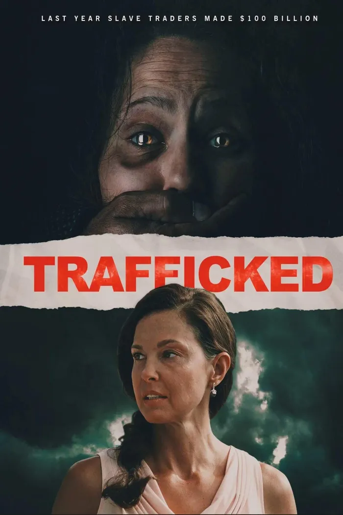 Похищены и проданы (2017) poster