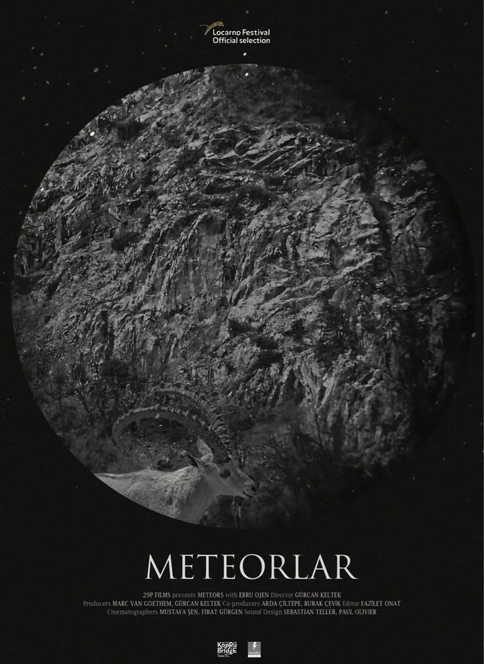 Meteorlar (2017) poster