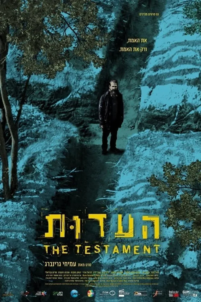 Свидетельство (2017) poster