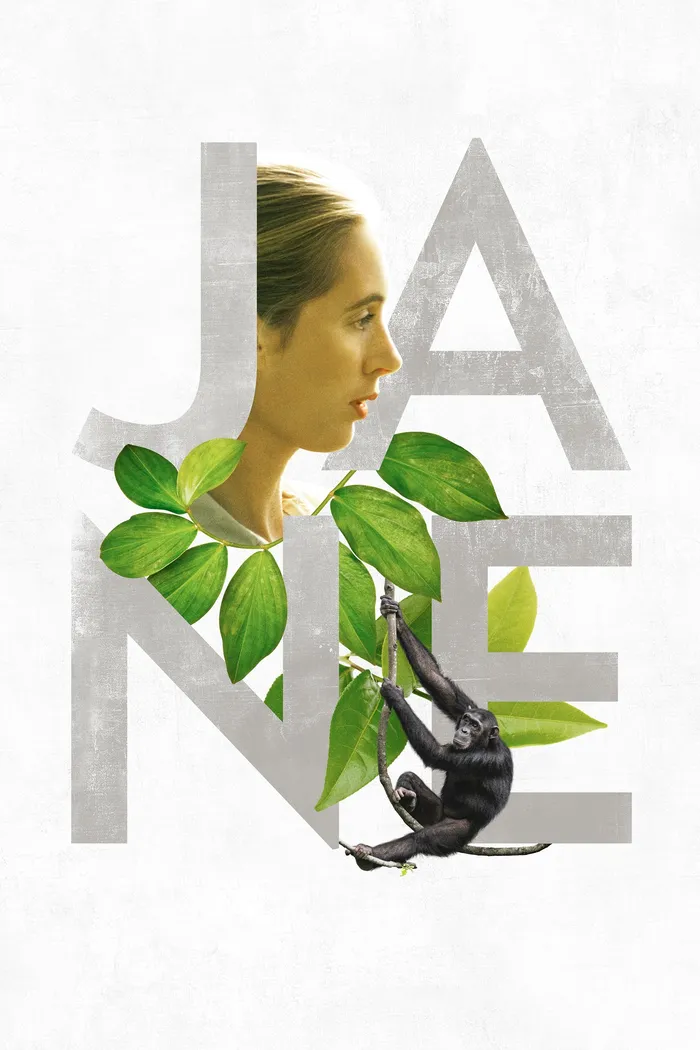Джейн (2017) poster