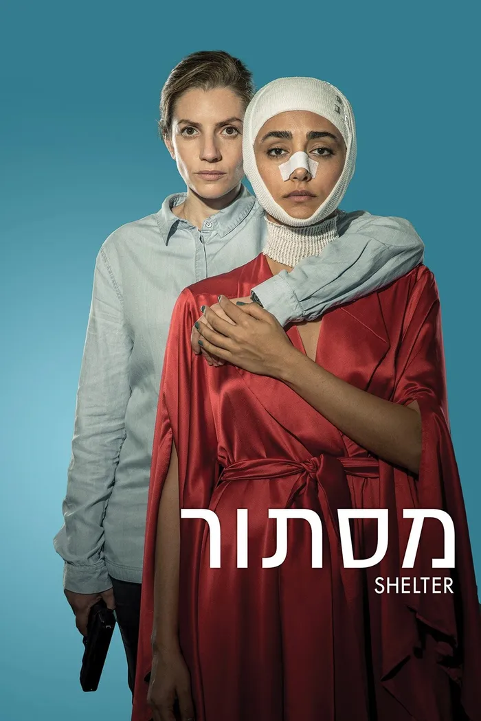 Приют (2017) poster