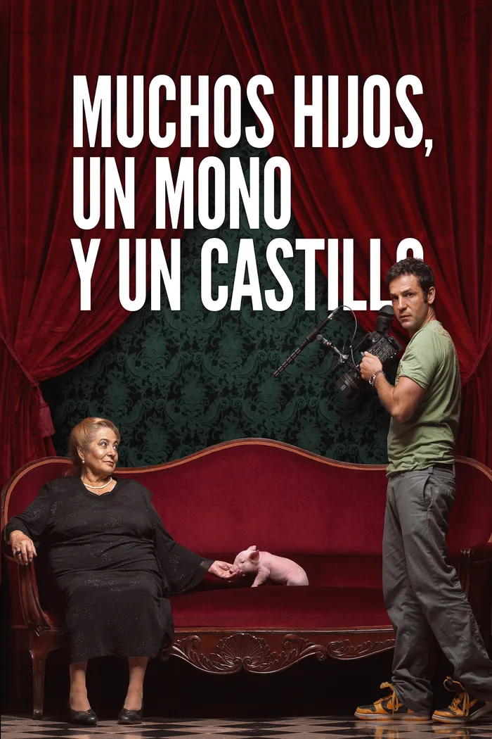 Muchos hijos, un mono y un castillo (2017) poster