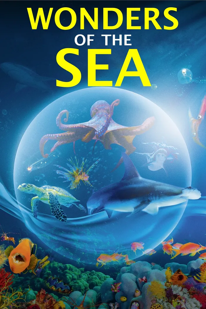 Чудеса моря 3D (2017) poster
