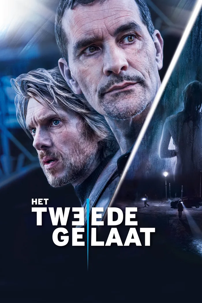 Двойное лицо (2017) poster
