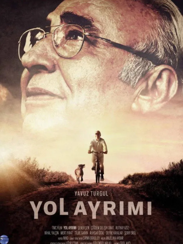 Yol Ayrımı (2017) poster
