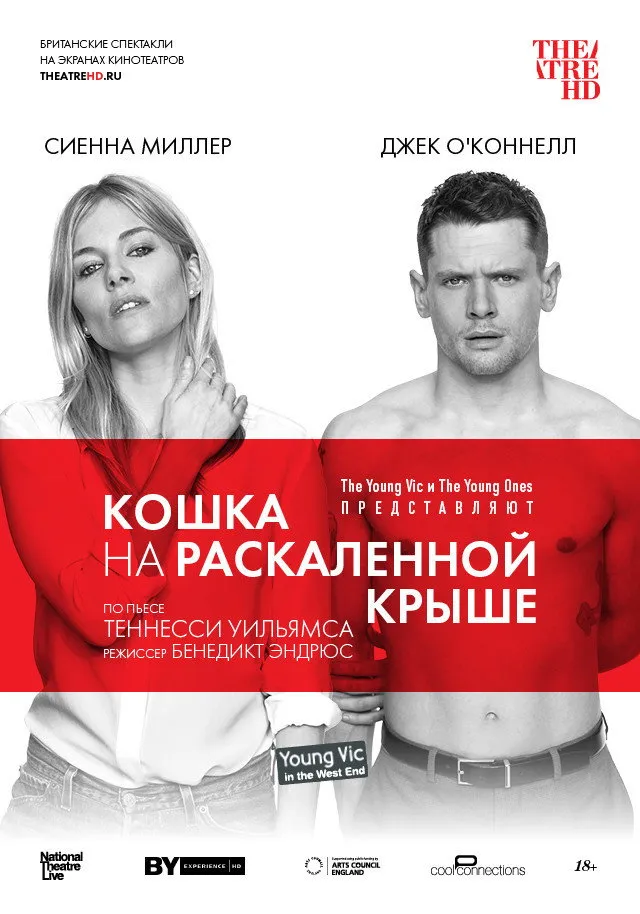 Кошка на раскалённой крыше (2018) poster