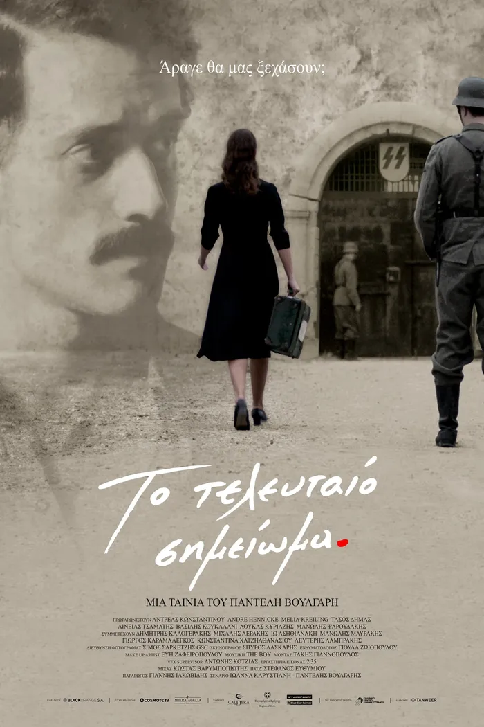 Последняя запись (2017)