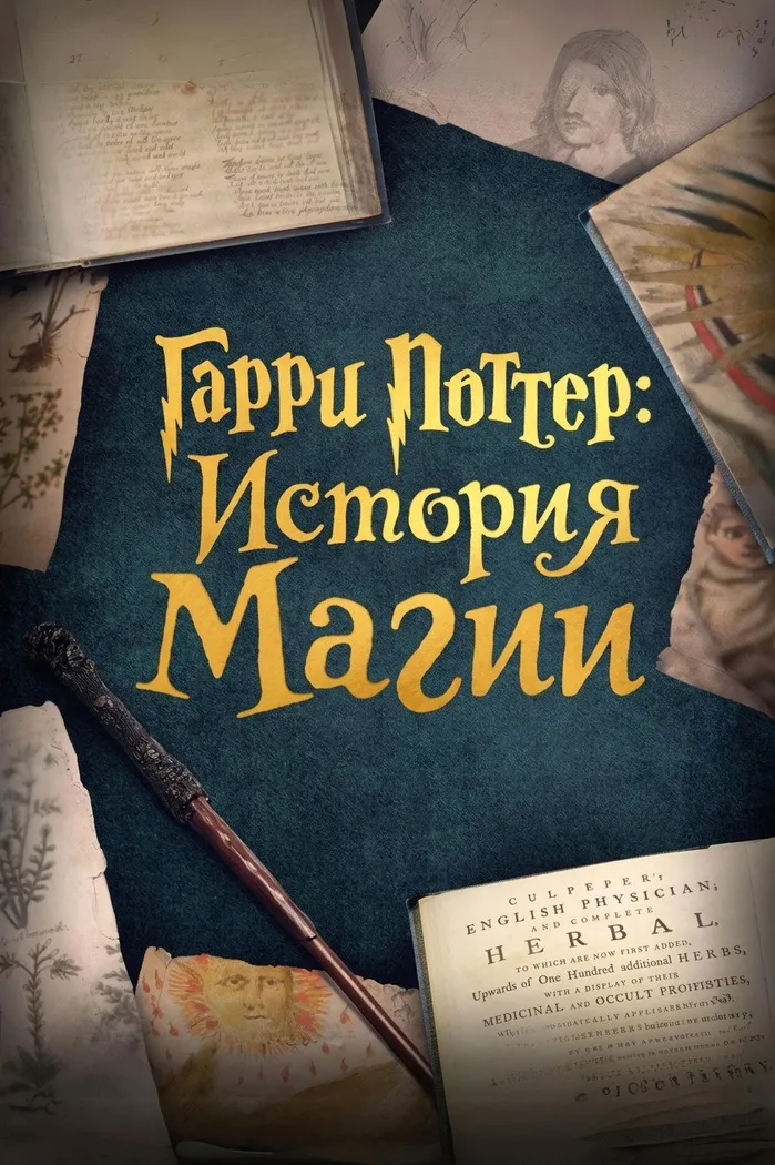 Гарри Поттер: История магии (2017) poster