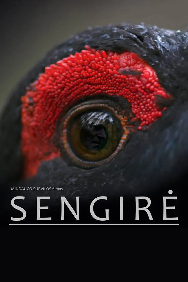 Sengirė (2017) poster