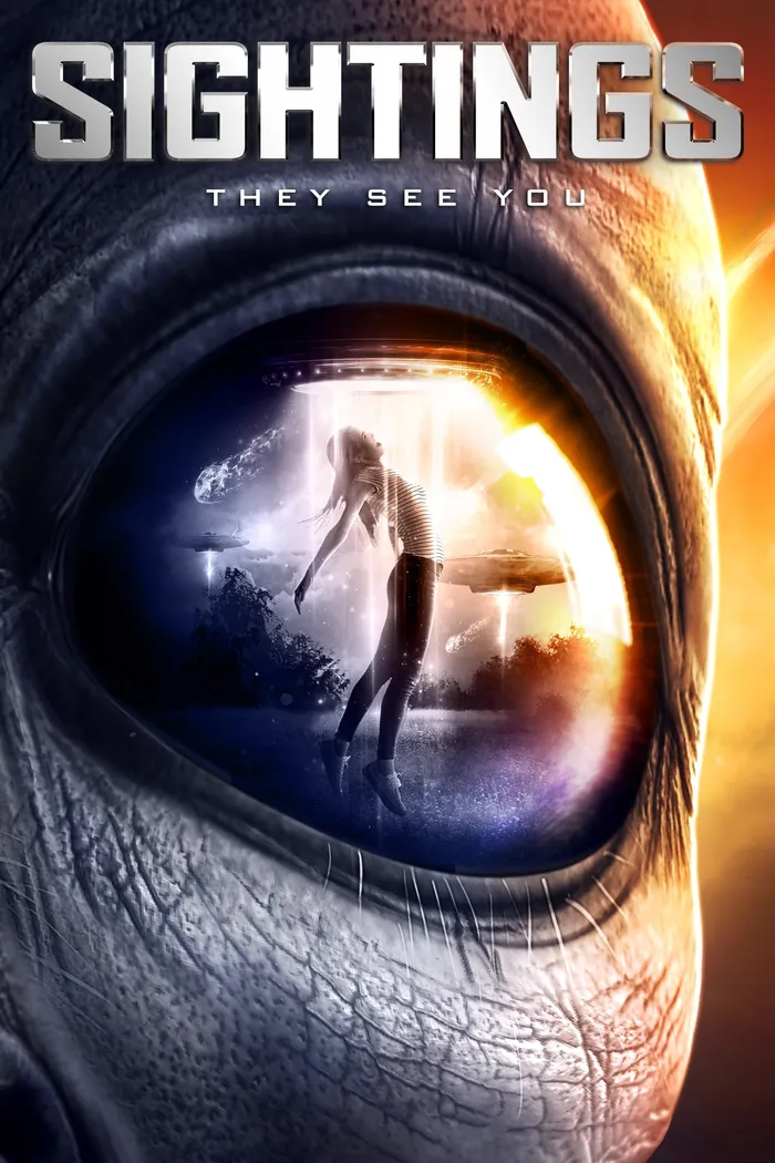 Наблюдения (2017) poster