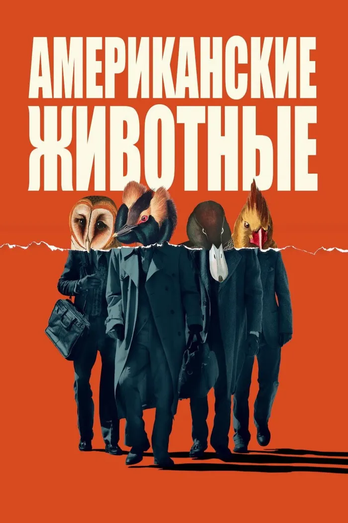 Американские животные (2018) poster