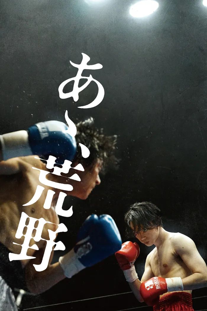 あゝ、荒野 後篇 (2017) poster