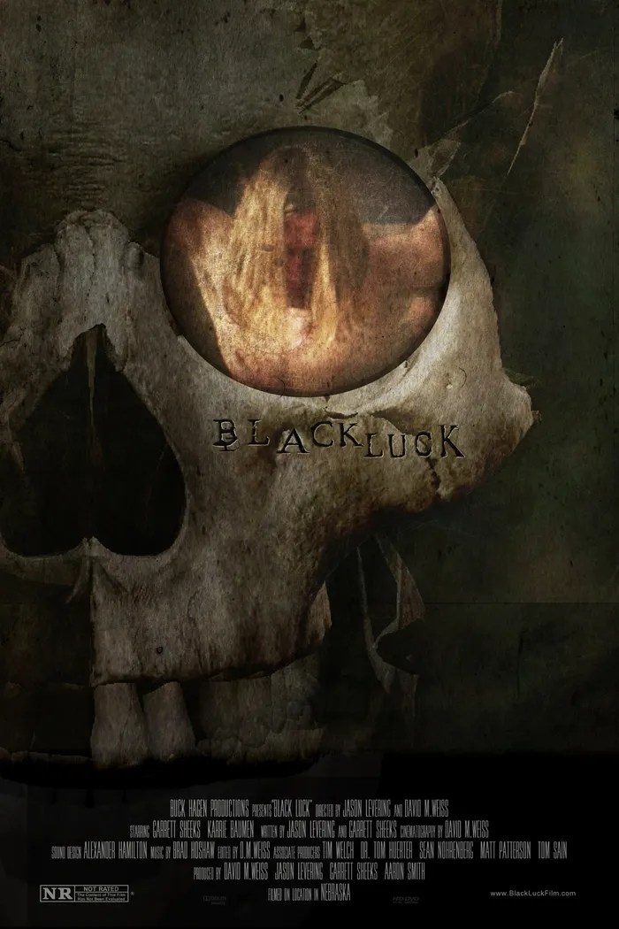 Black Luck (2016) poster