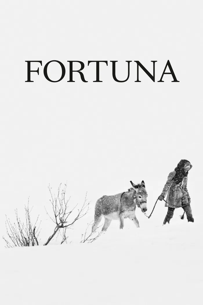 Fortuna (2018) poster