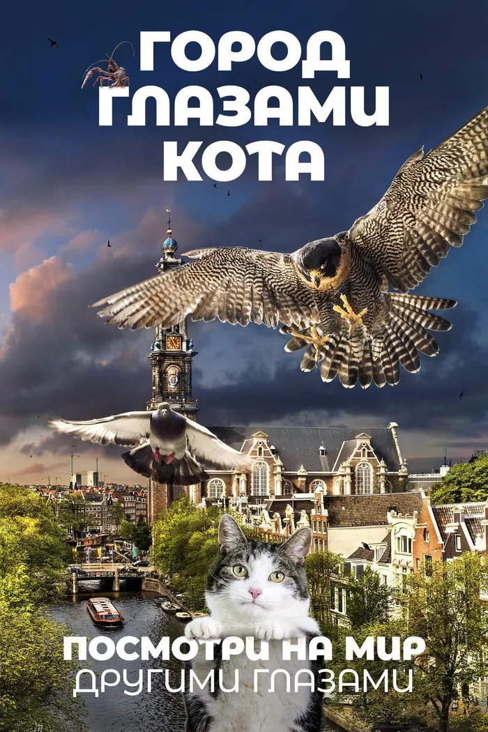 Город глазами кота (2018) poster