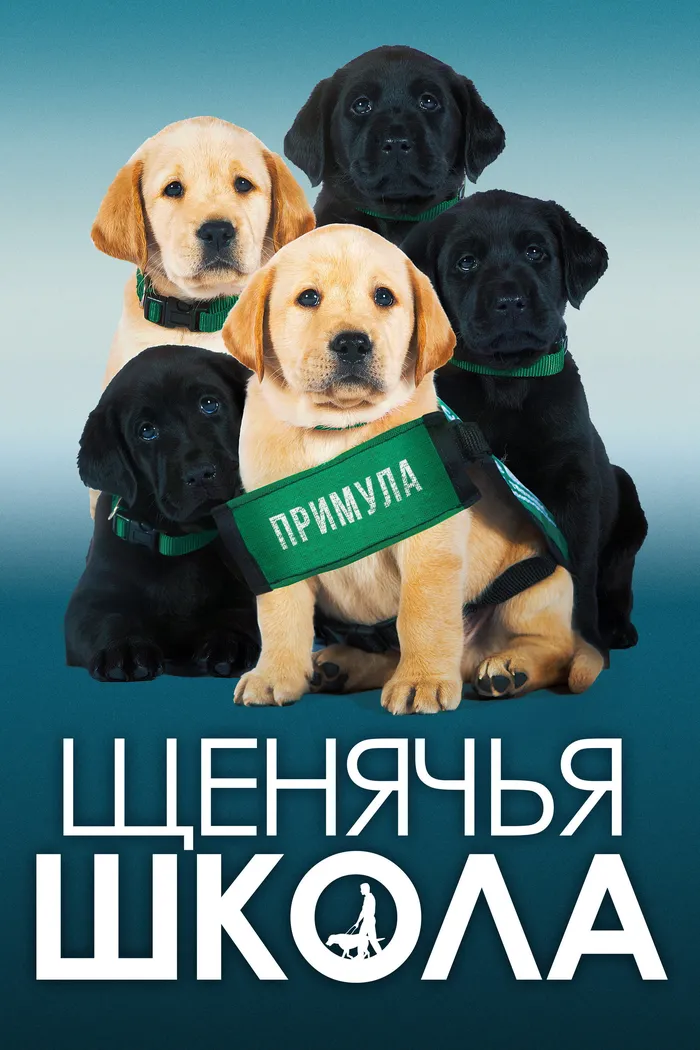 Щенячья школа (2018) poster