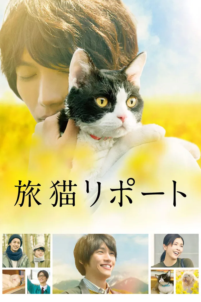 旅猫リポート (2018) poster