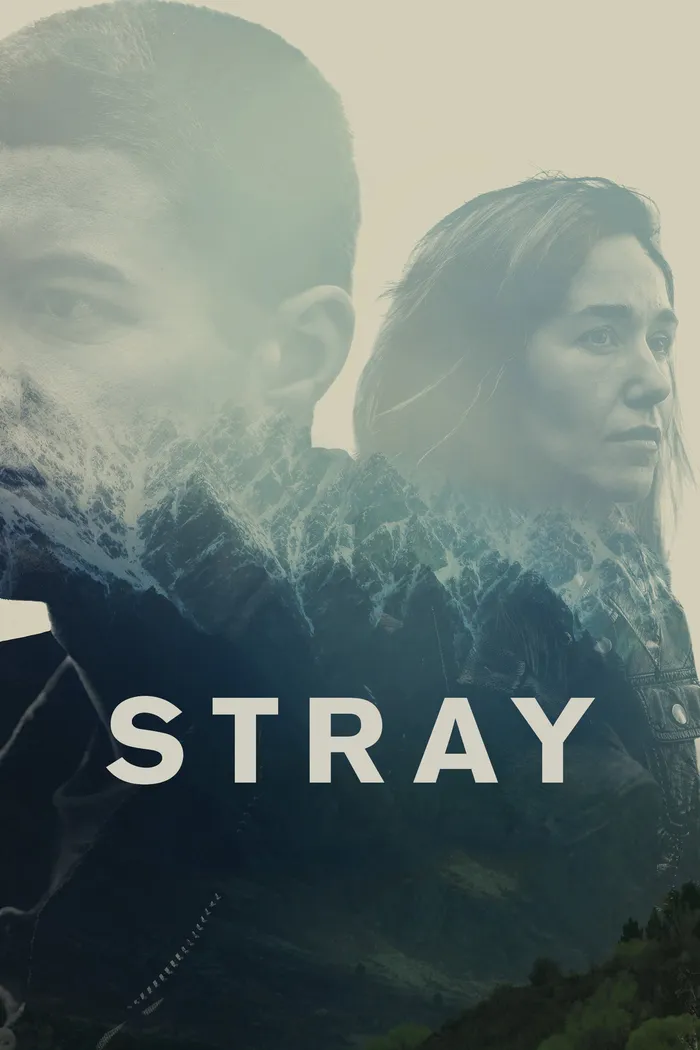 Заблудшие (2018) poster