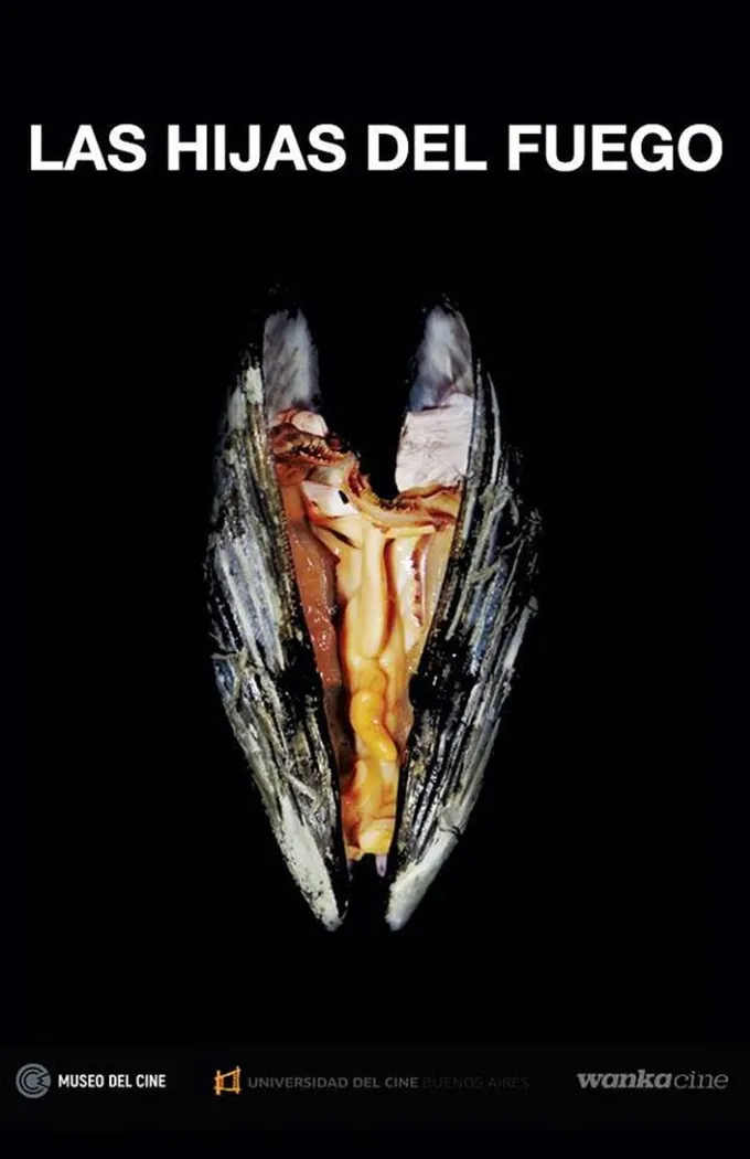 Дочери огня (2018) poster