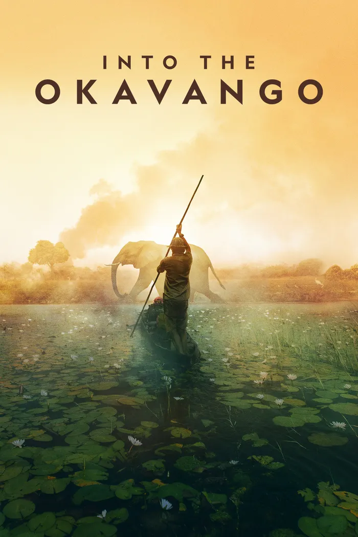 В Окаванго (2018) poster