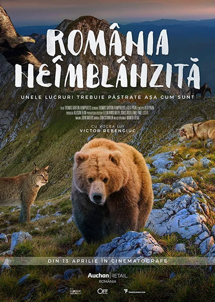 România neîmblânzită (2018) poster