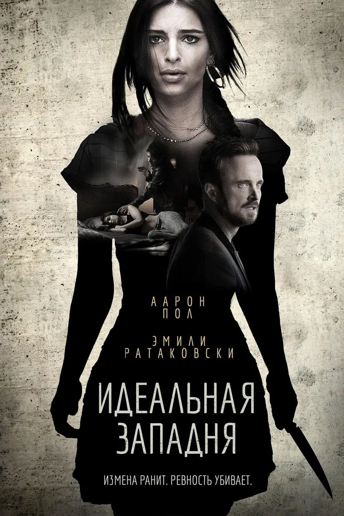 Идеальная западня (2018) poster